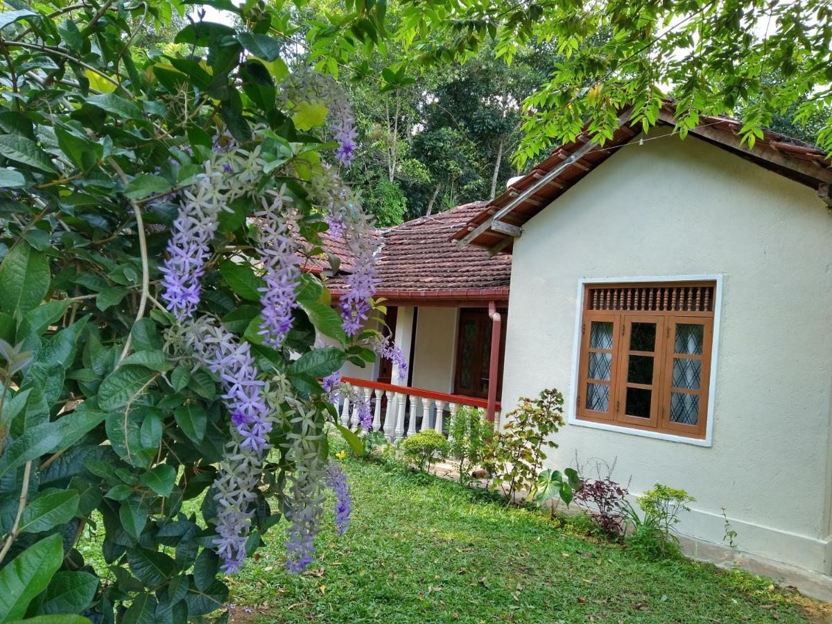 The Pepper Cottage Gomagoda Экстерьер фото